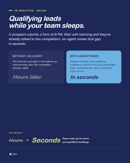 Agentforce-03-Sales-Lead-Qualification