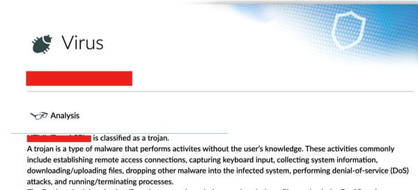 Trojan Virus Breakdown