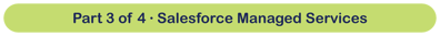 Part 1 of 4 Salesforce Managed Services (1)