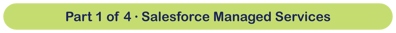 Part 1 of 4 Salesforce Managed Services