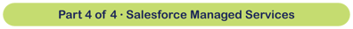 Part 4 of 4 Salesforce Managed Services