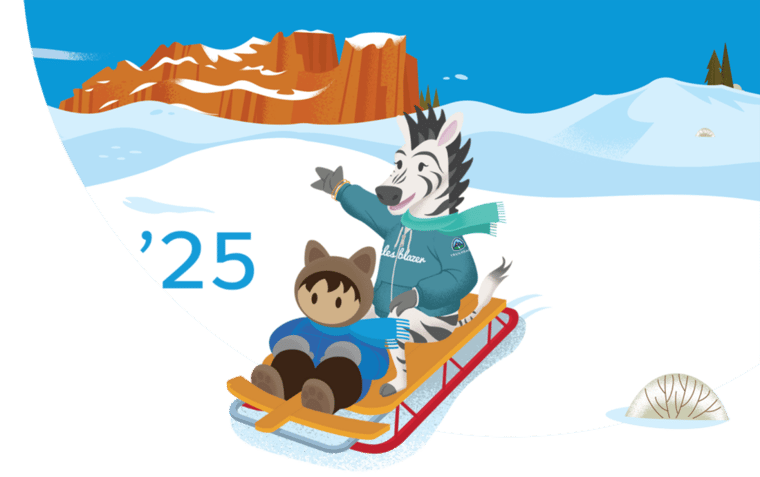 Salesforce Winter '25 Release